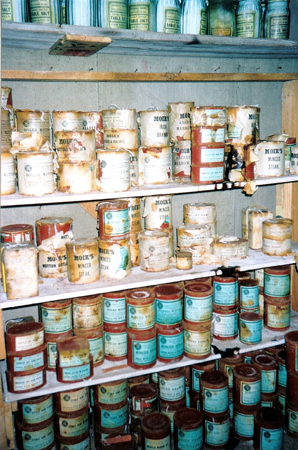 ant cape evans 06.jpg